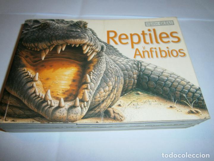 Libros de segunda mano: ESPECTACULAR GUIA REPTILES Y ANFIBIOS - Foto 1