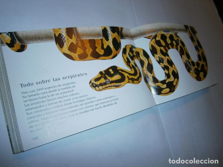 Libros de segunda mano: ESPECTACULAR GUIA REPTILES Y ANFIBIOS - Foto 2