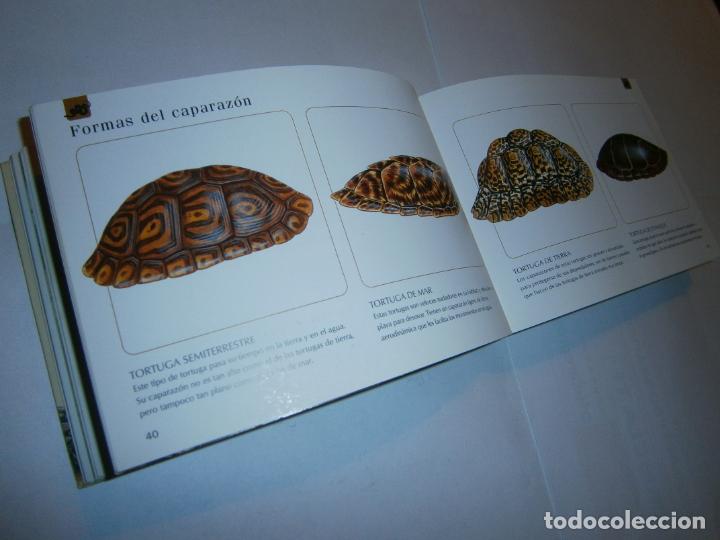 Libros de segunda mano: ESPECTACULAR GUIA REPTILES Y ANFIBIOS - Foto 3