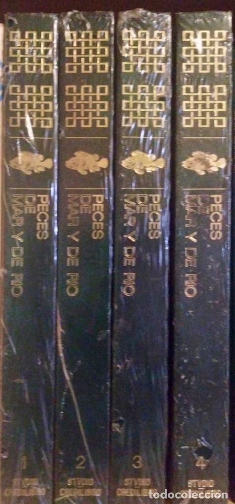 Libros de segunda mano: ENCICLOPEDIA PECES DE MAR Y DE RIO. 4 TOMOS. NUEVA. PRECINTADA - Foto 1