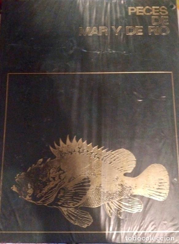 Libros de segunda mano: ENCICLOPEDIA PECES DE MAR Y DE RIO. 4 TOMOS. NUEVA. PRECINTADA - Foto 2
