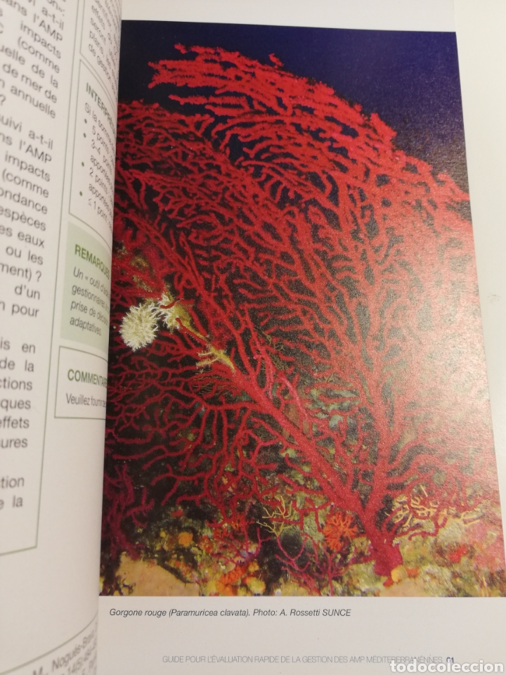 Libros de segunda mano: GUIDE POUR L&Eacute;VALUATION RAPIDE DE LA GESTION DES AMP M&Eacute;DITERRAN&Eacute;ENNES - Foto 5