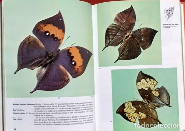 Libros de segunda mano: MARIPOSAS - DR. STANEK - SUSAETA 1991 - Foto 3