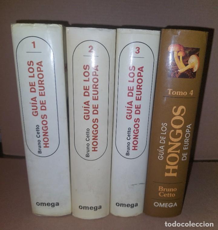 Lote De 4 Libros Guía Hongos De Europa Bruno C Vendido En Subasta