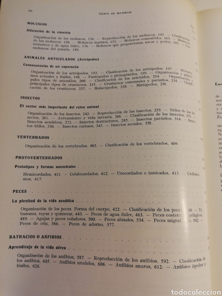 Libros de segunda mano: LA VIDA DE LOS ANIMALES. TOMO I (LEON BERTIN) - Foto 4