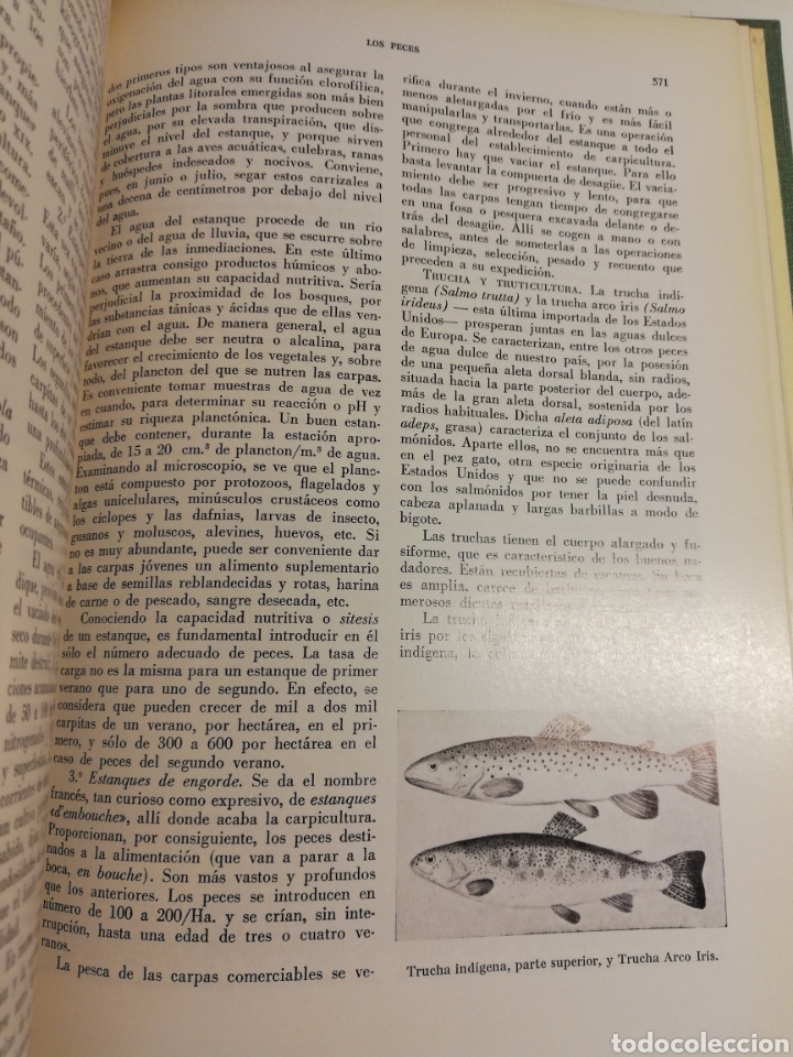 Libros de segunda mano: LA VIDA DE LOS ANIMALES. TOMO I (LEON BERTIN) - Foto 5
