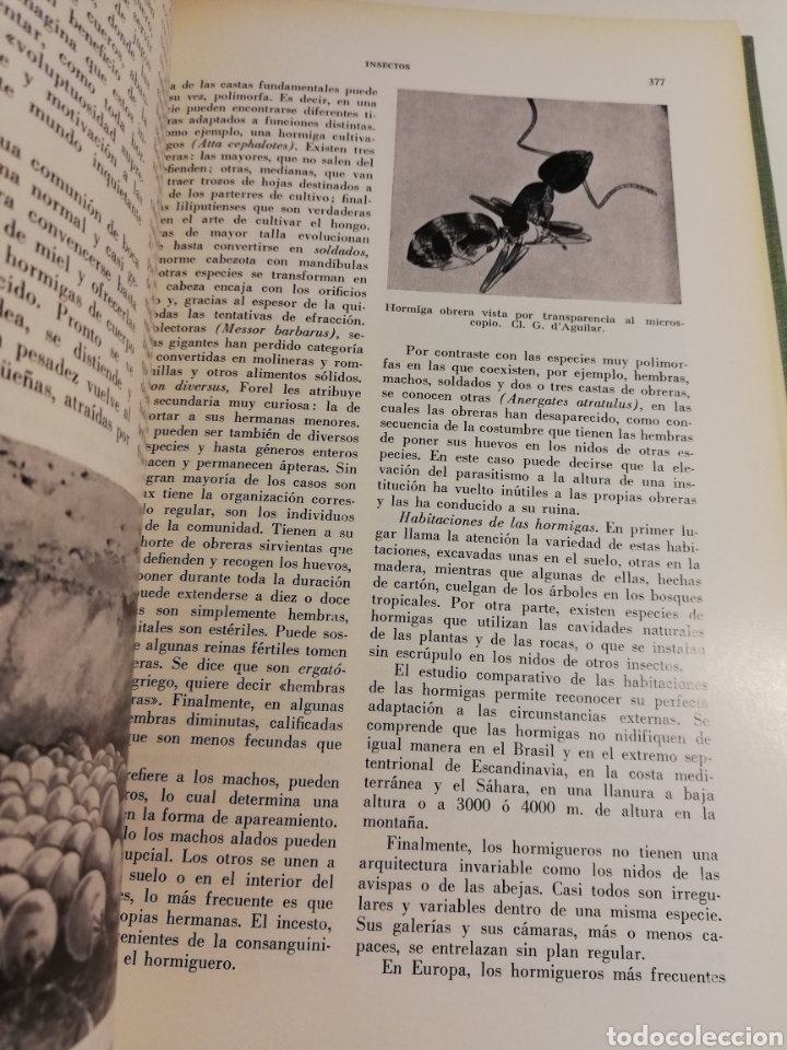 Libros de segunda mano: LA VIDA DE LOS ANIMALES. TOMO I (LEON BERTIN) - Foto 11