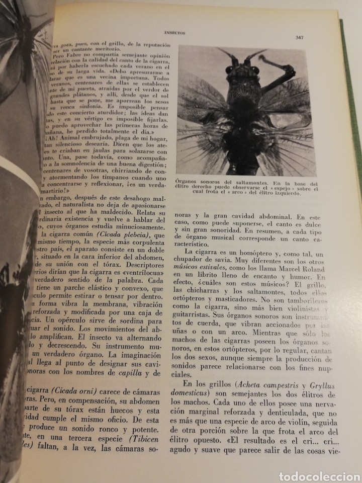 Libros de segunda mano: LA VIDA DE LOS ANIMALES. TOMO I (LEON BERTIN) - Foto 13