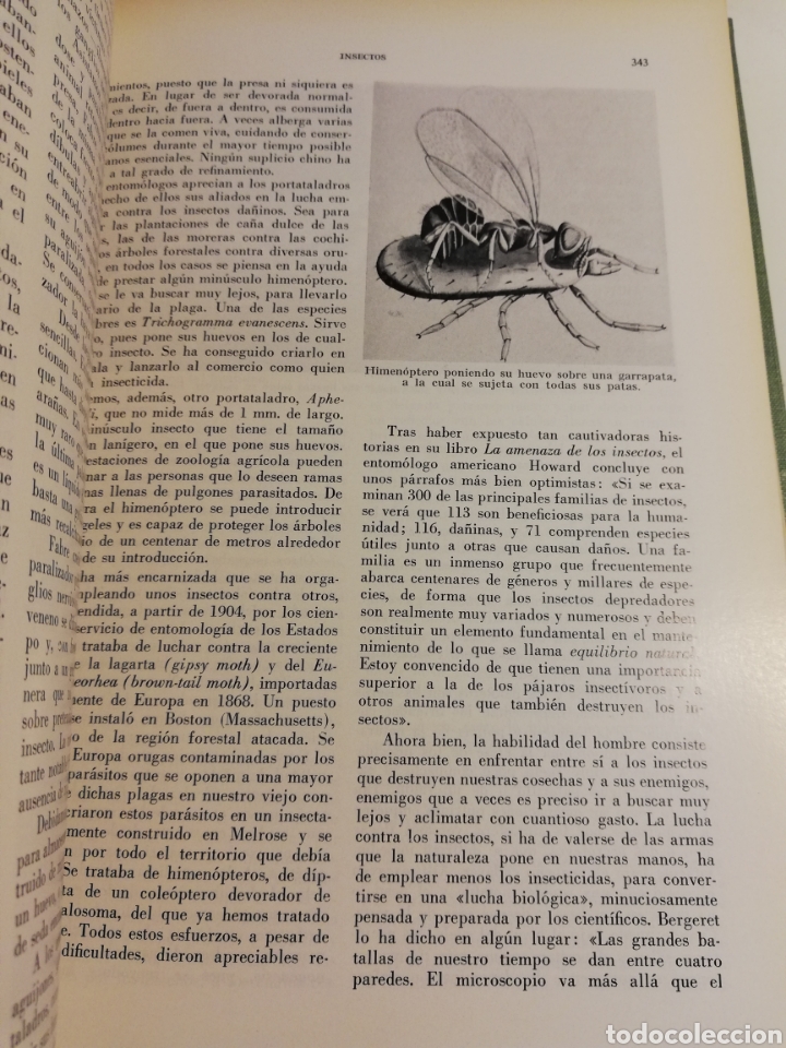 Libros de segunda mano: LA VIDA DE LOS ANIMALES. TOMO I (LEON BERTIN) - Foto 14