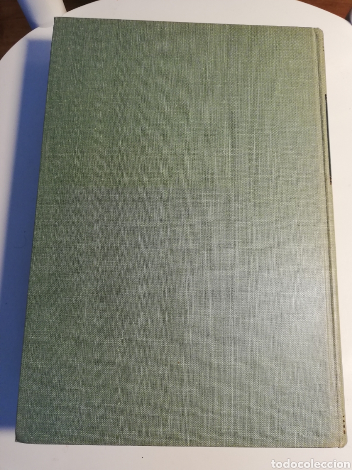 Libros de segunda mano: LA VIDA DE LOS ANIMALES. TOMO I (LEON BERTIN) - Foto 18