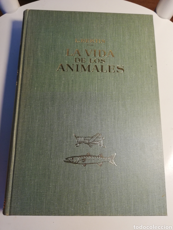 Libros de segunda mano: LA VIDA DE LOS ANIMALES. TOMO I (LEON BERTIN) - Foto 1