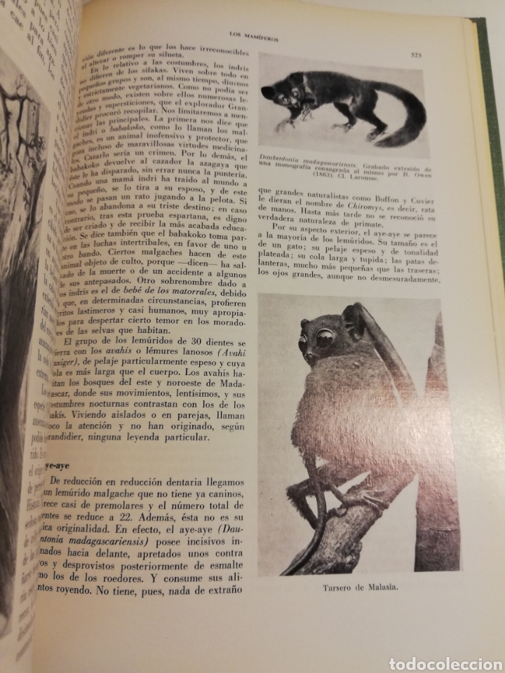 Libros de segunda mano: LA VIDA DE LOS ANIMALES. TOMO II (LEON BERTIN) - Foto 4