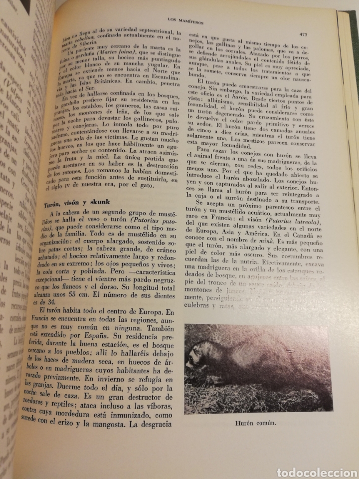Libros de segunda mano: LA VIDA DE LOS ANIMALES. TOMO II (LEON BERTIN) - Foto 5