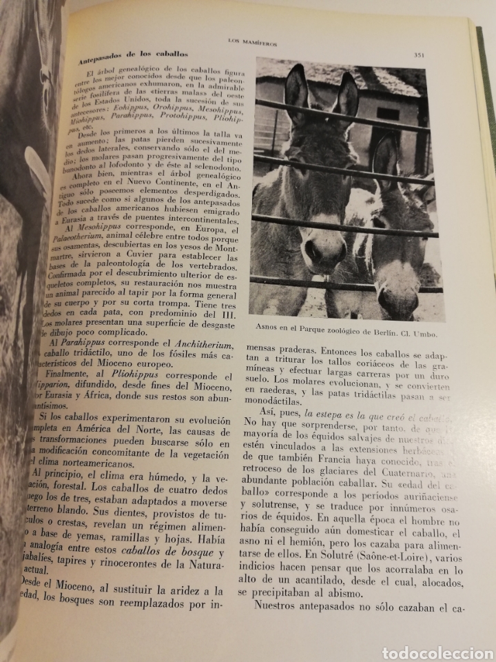 Libros de segunda mano: LA VIDA DE LOS ANIMALES. TOMO II (LEON BERTIN) - Foto 10