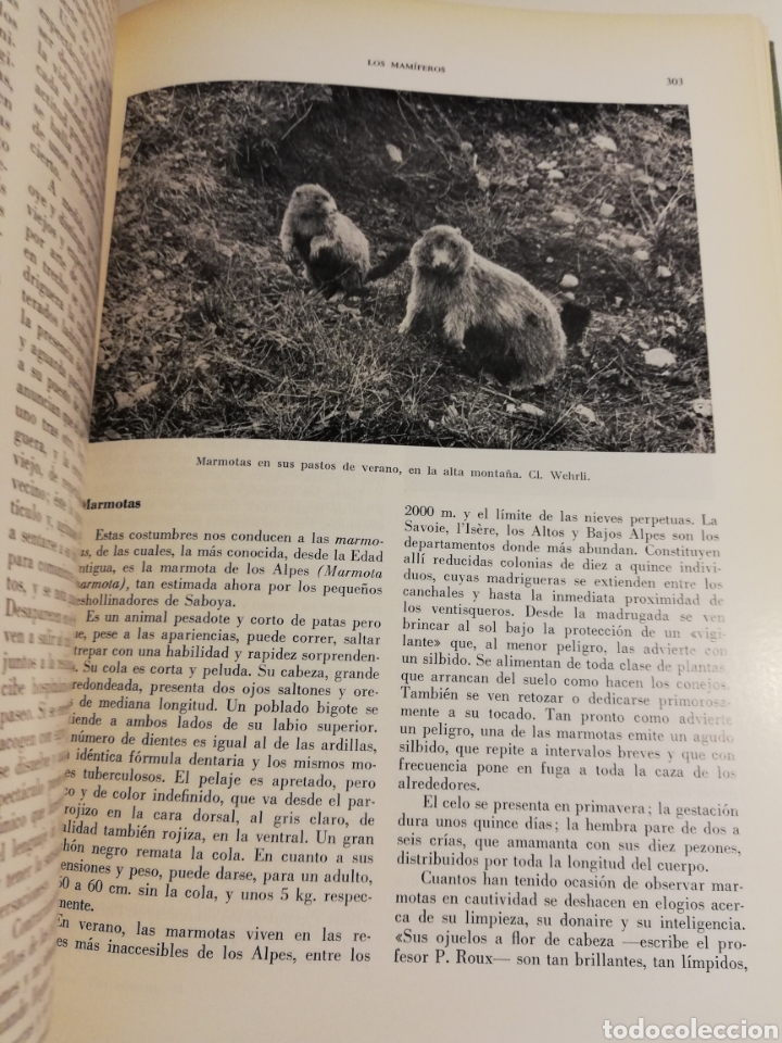 Libros de segunda mano: LA VIDA DE LOS ANIMALES. TOMO II (LEON BERTIN) - Foto 11