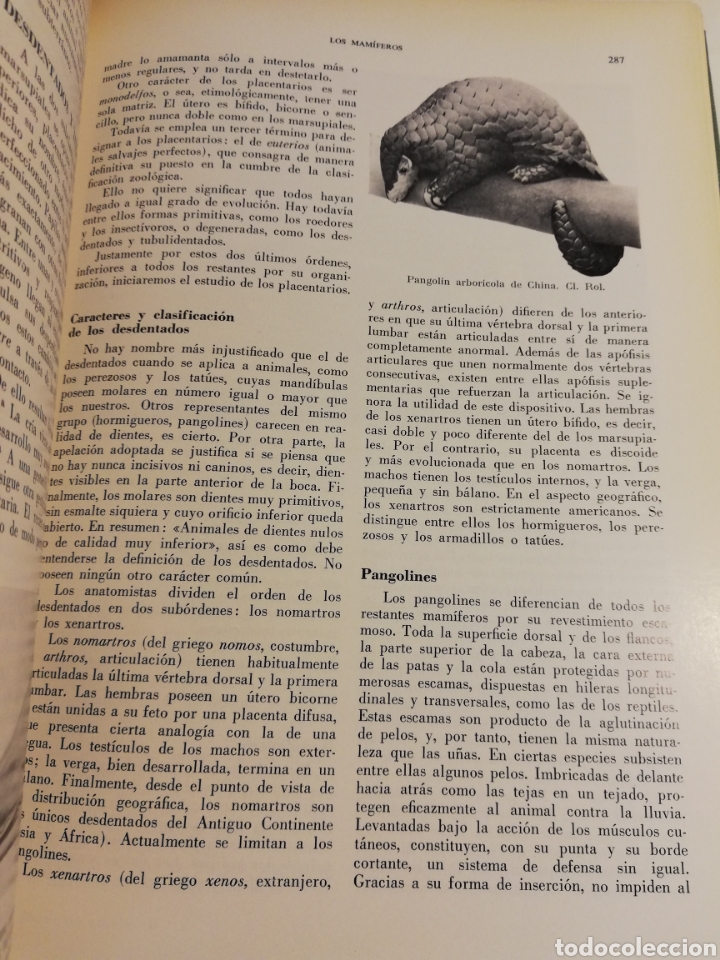 Libros de segunda mano: LA VIDA DE LOS ANIMALES. TOMO II (LEON BERTIN) - Foto 12