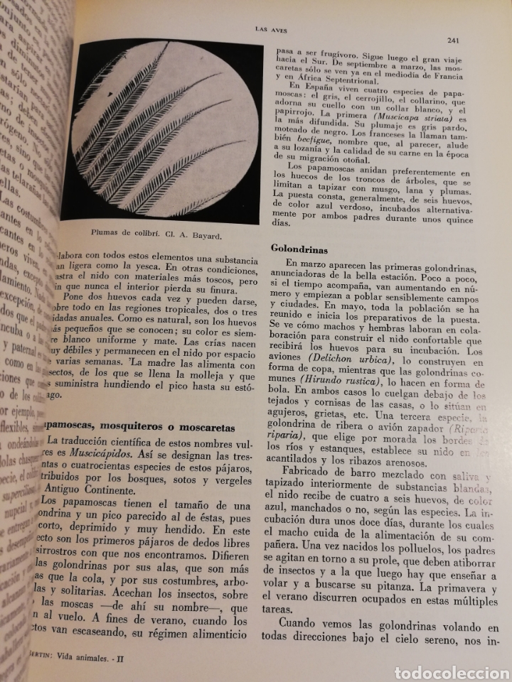 Libros de segunda mano: LA VIDA DE LOS ANIMALES. TOMO II (LEON BERTIN) - Foto 13