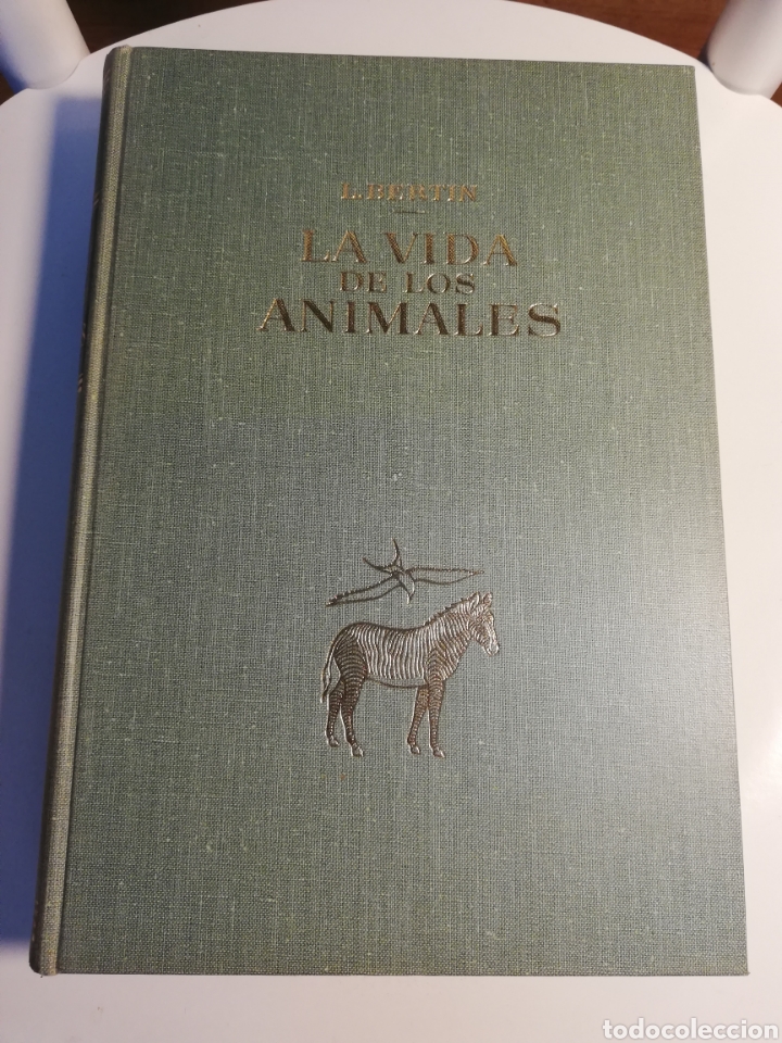 Libros de segunda mano: LA VIDA DE LOS ANIMALES. TOMO II (LEON BERTIN) - Foto 1