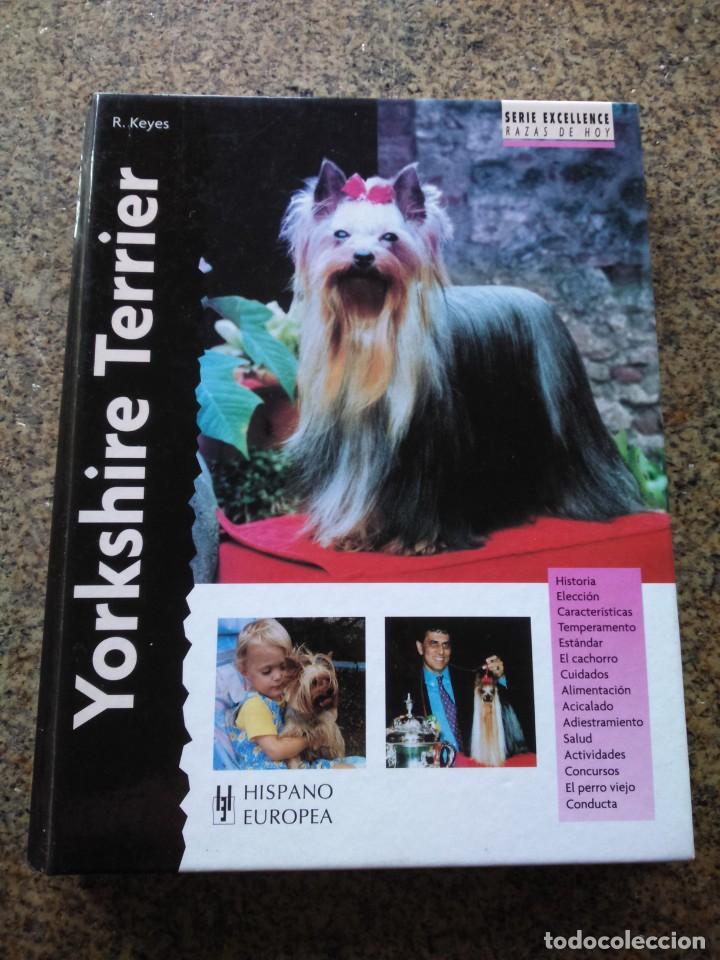 Libros de segunda mano: YORKSHIRE TERRIER -- R. REYES -- HISPANO HEUROPEA 2010 -- - Foto 1