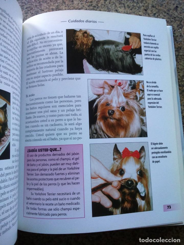 Libros de segunda mano: YORKSHIRE TERRIER -- R. REYES -- HISPANO HEUROPEA 2010 -- - Foto 2