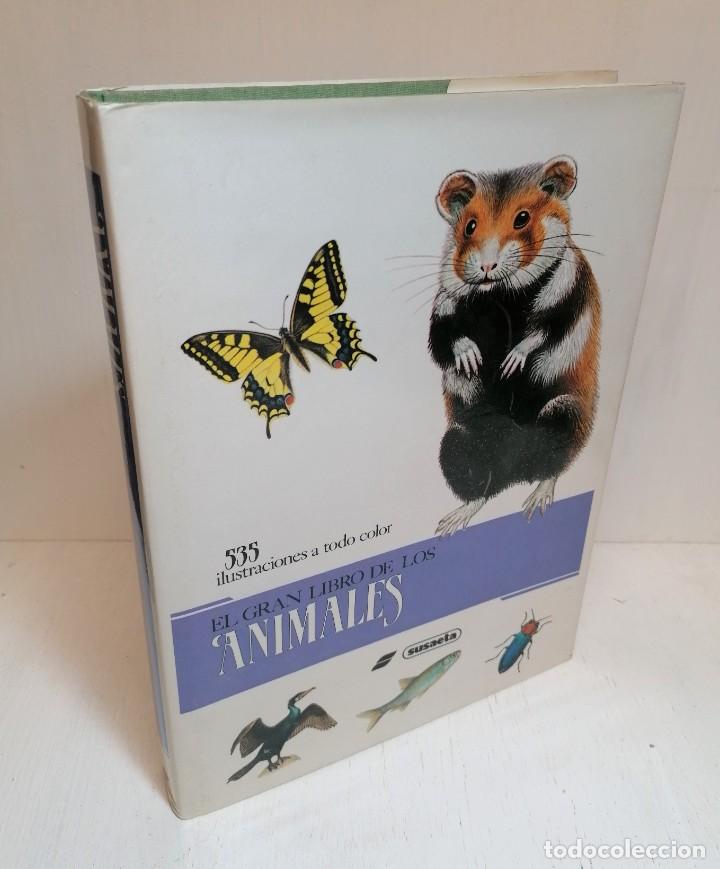 Libros de segunda mano: Libro: &rdquo;El gran libro de los animales&rdquo; 535 ilustraciones edit Susaeta - Foto 1