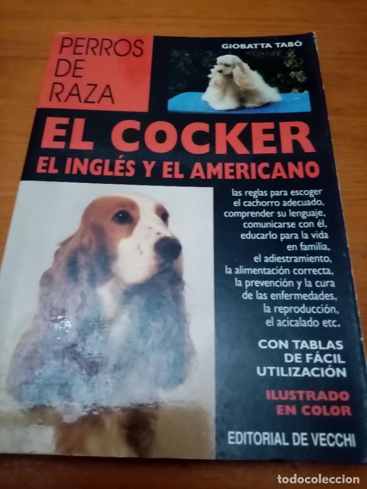 Libros de segunda mano: PERROS DE RAZA. EL COCKER. EL INGL&Eacute;S Y EL AMERICANO. GIOBATTA TABO. EST28B4 - Foto 1