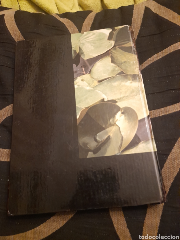 Libros de segunda mano: Bot&aacute;nica, Colecci&oacute;n MS de Ciencias Naturales - Foto 2