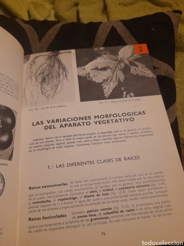 Libros de segunda mano: Bot&aacute;nica, Colecci&oacute;n MS de Ciencias Naturales - Foto 6