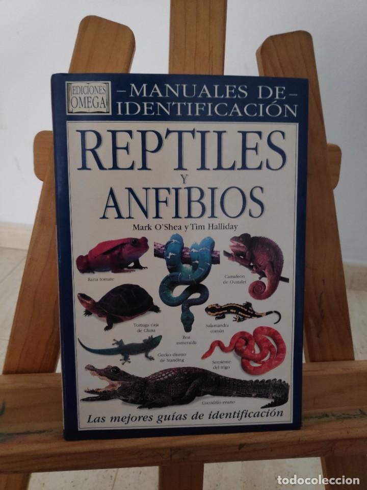 Reptiles Y Anfíbios, Mejores Guías De Identific - Comprar Libros De ...