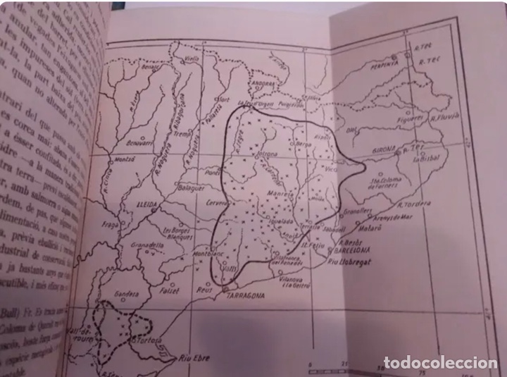 Libros de segunda mano: BOLETS (LIBRO)/SETAS de los alrededores de Igualada. A&ntilde;o 1970 - Foto 4