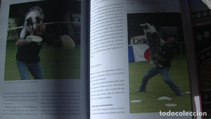 Libros de segunda mano: Bruns, Sabine. Frisbee para Perros. De Vecchi Ediciones. 2018 - Foto 3