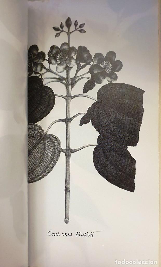 Libros de segunda mano: ESCRITOS BOTANICOS. JOSE CELESTINO MUTIS. 1985. - Foto 7