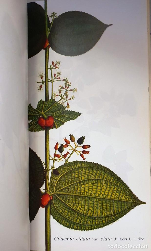 Libros de segunda mano: ESCRITOS BOTANICOS. JOSE CELESTINO MUTIS. 1985. - Foto 8