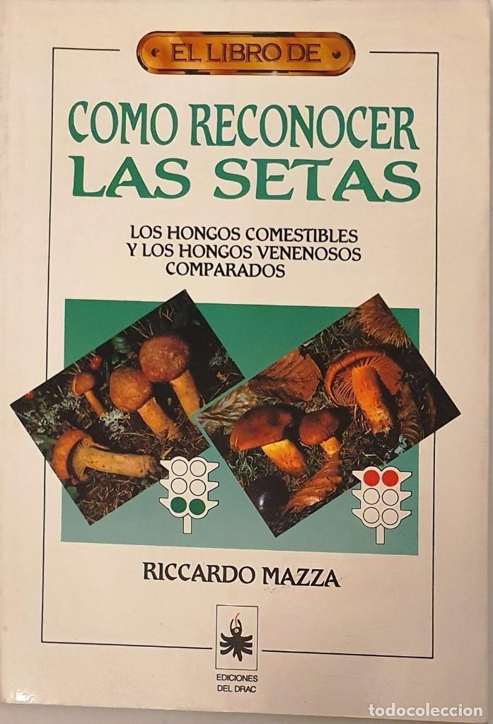 Libros de segunda mano: COMO RECONOCER LAS SETAS. RICCARDO MAZZA. DRAC 1992. - Foto 1