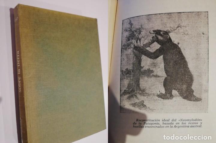 Libros de segunda mano: ANIMALES DESCONOCIDOS SOBRE LA TIERRA. J.L BARCEL&Oacute; - Foto 1
