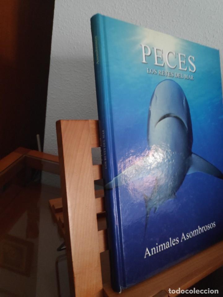 Libros de segunda mano: Peces. Los reyes del mar. Animales Asombrosos - Foto 2