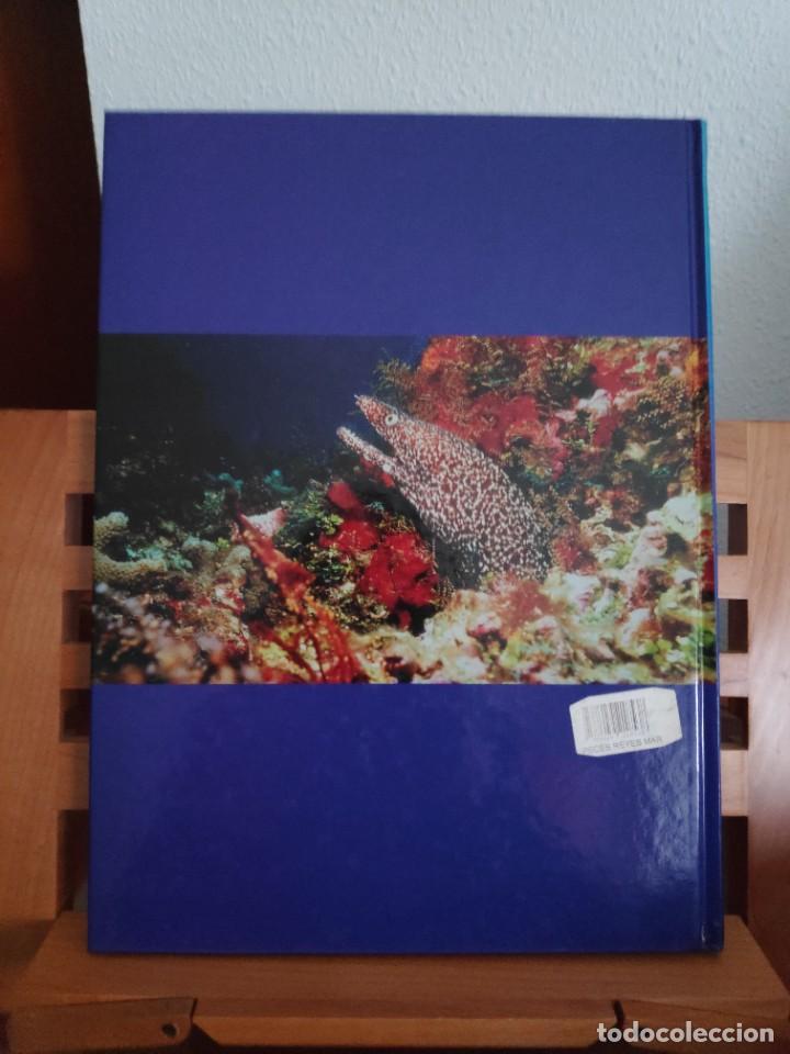 Libros de segunda mano: Peces. Los reyes del mar. Animales Asombrosos - Foto 3