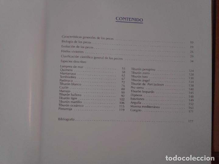 Libros de segunda mano: Peces. Los reyes del mar. Animales Asombrosos - Foto 4