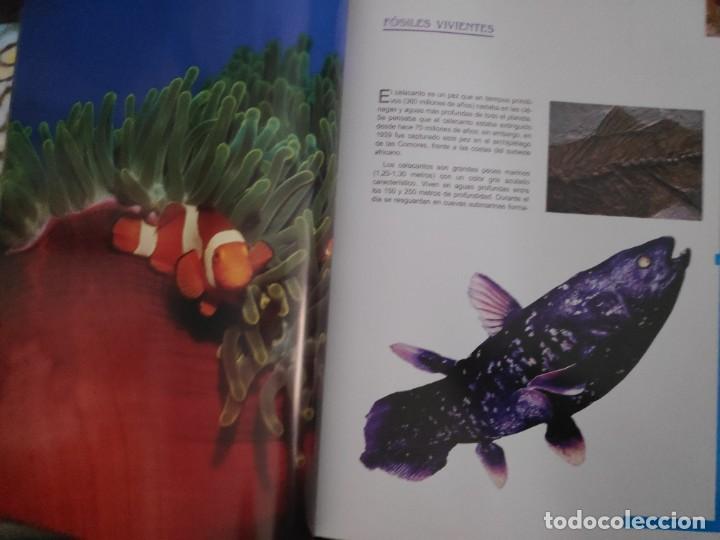 Libros de segunda mano: Peces. Los reyes del mar. Animales Asombrosos - Foto 5
