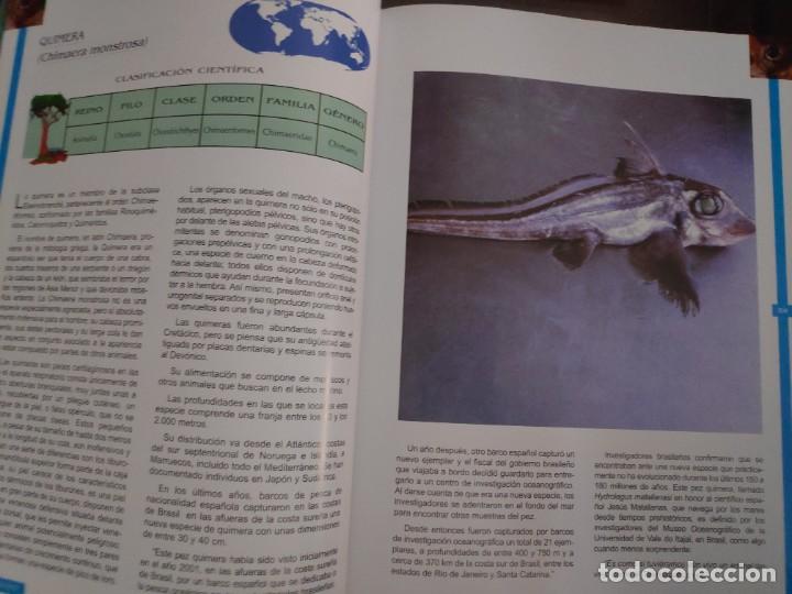 Libros de segunda mano: Peces. Los reyes del mar. Animales Asombrosos - Foto 7