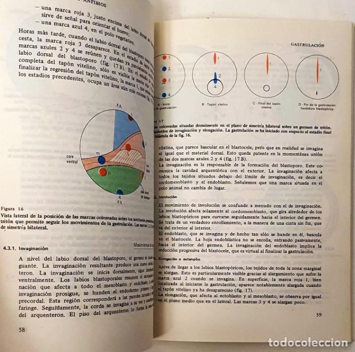 Libros de segunda mano: EMBRIOLOGIA. CHARLES HOUILLON. OMEGA 1973. - Foto 4