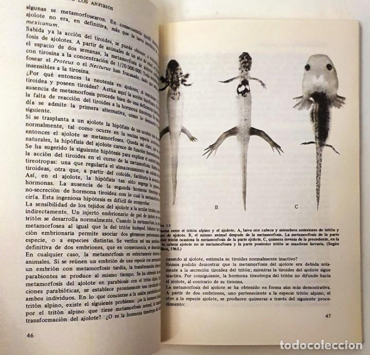 Libros de segunda mano: EMBRIOLOGIA. CHARLES HOUILLON. OMEGA 1973. - Foto 5