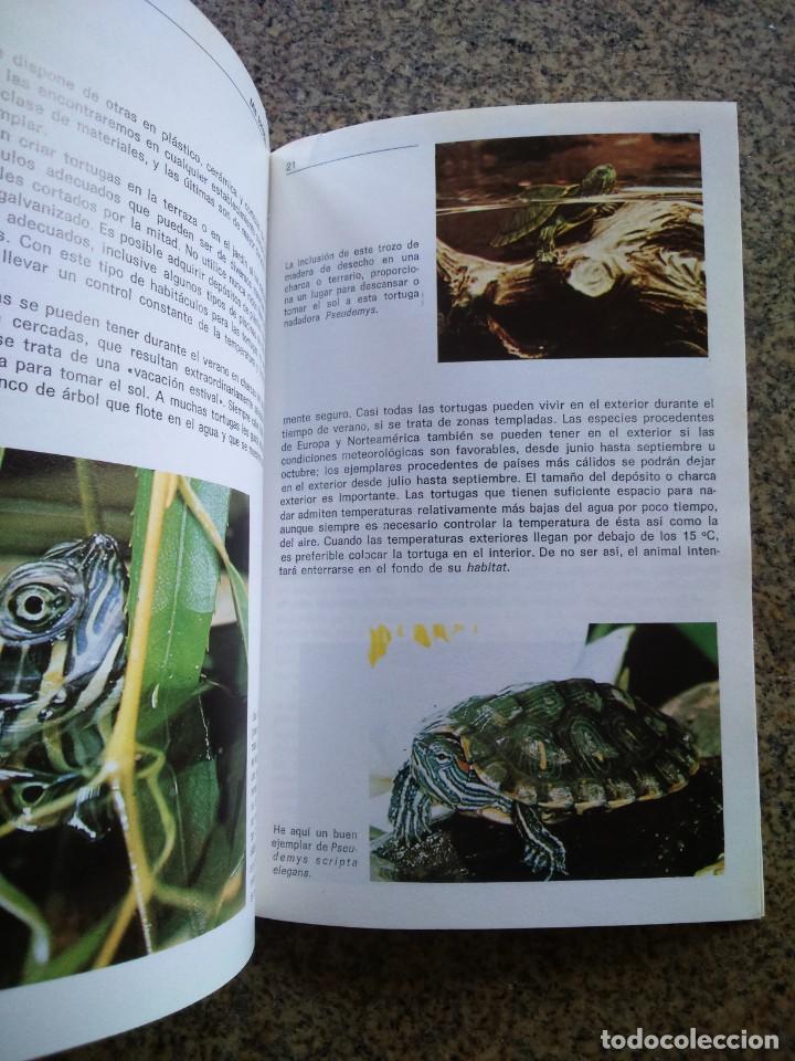 Libros de segunda mano: MIS TORTUGAS -- JOHANNES JAHN -- 1994 -- - Foto 3