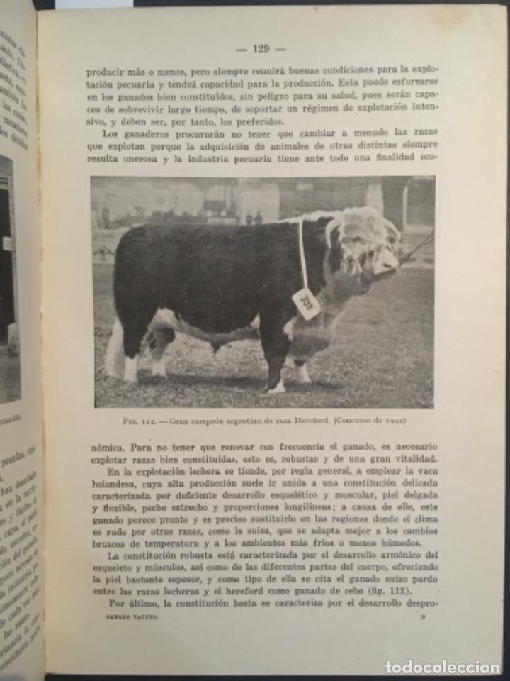 Libros de segunda mano: GANADO VACUNO, CESAR AGENJO CECILIA - Foto 2