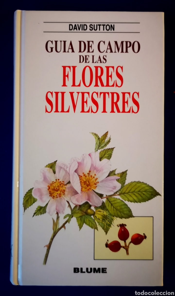 Libros de segunda mano: GUIA DE CAMPO DE LAS FLORES SILVESTRES - DAVID SUTTON - Foto 1