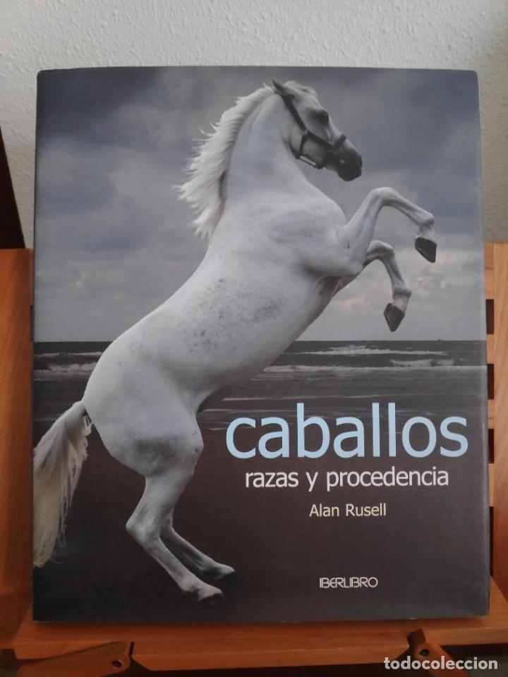 Libros de segunda mano: Caballos, razas y procedencia. Alan Rusell - Foto 1