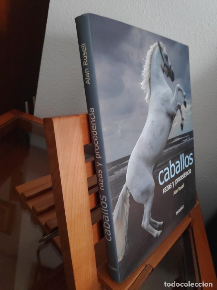 Libros de segunda mano: Caballos, razas y procedencia. Alan Rusell - Foto 2