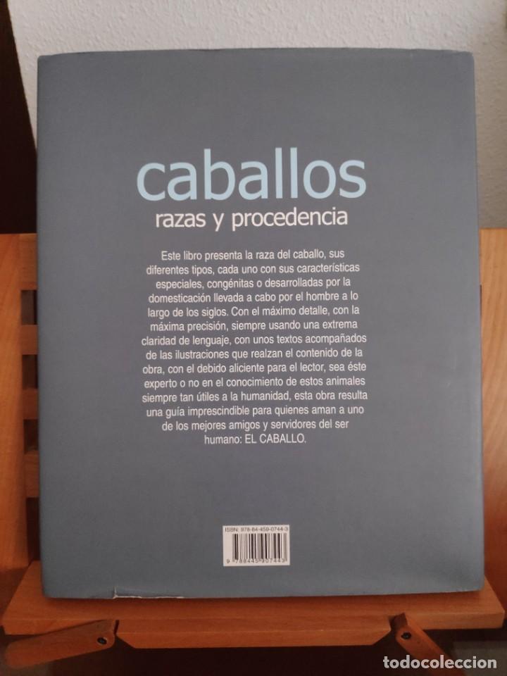 Libros de segunda mano: Caballos, razas y procedencia. Alan Rusell - Foto 3