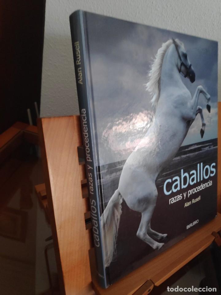 Libros de segunda mano: Caballos, razas y procedencia. Alan Rusell - Foto 4