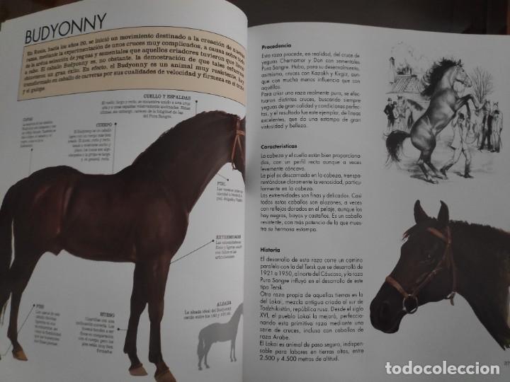 Libros de segunda mano: Caballos, razas y procedencia. Alan Rusell - Foto 7